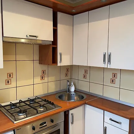 Big For Four 아파트 클라이페다